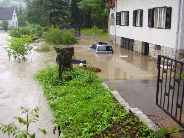 HOCHWASSER 24.6.09. - 