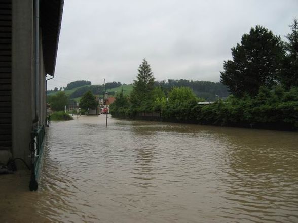 HOCHWASSER 24.6.09. - 