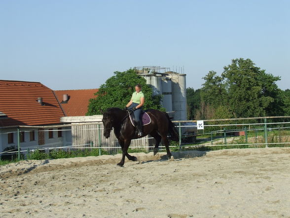 Training Jana - 