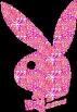 Playboy-Bunny - 