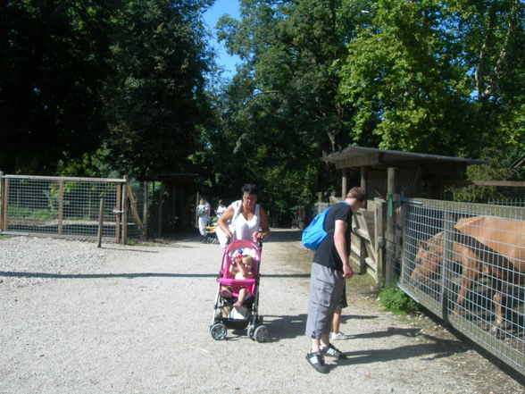 tierpark - 