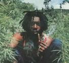 Peter Tosh - 