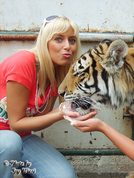 Tigertreffen =) - 