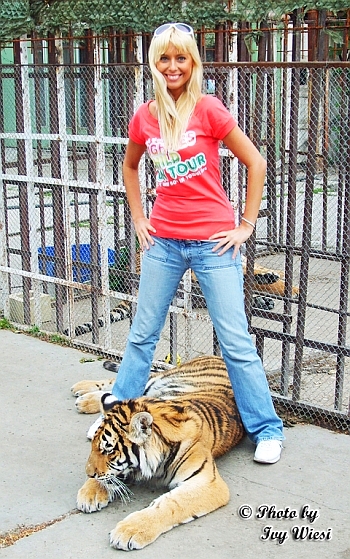 Tigertreffen =) - 