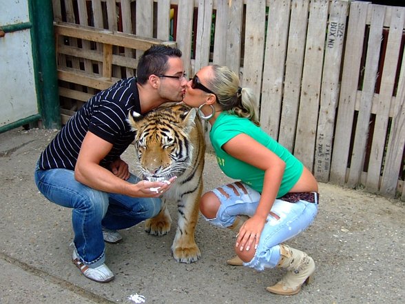 Tigertreffen =) - 