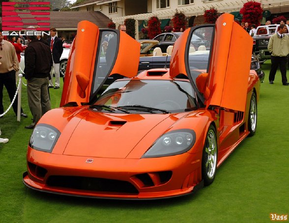 Saleen - 