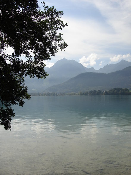 _wOlFgAnGsEe_sOmMeR07_ - 