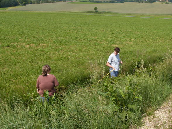 Chemieprojekt Sommersemester 2007 - 