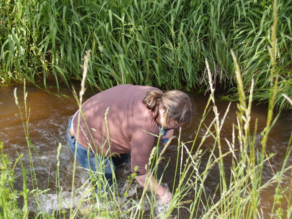 Chemieprojekt Sommersemester 2007 - 