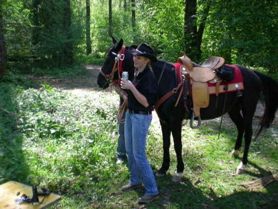 Shadow of Black Beauty - 