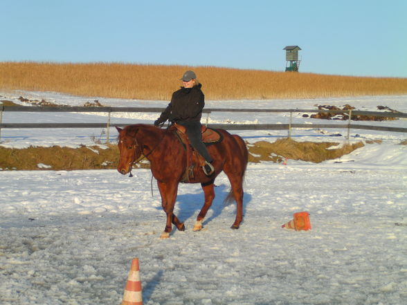 Jürgen der Cowboy :-) - 