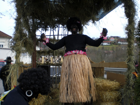 FASCHING IN OÖ 2008 - 