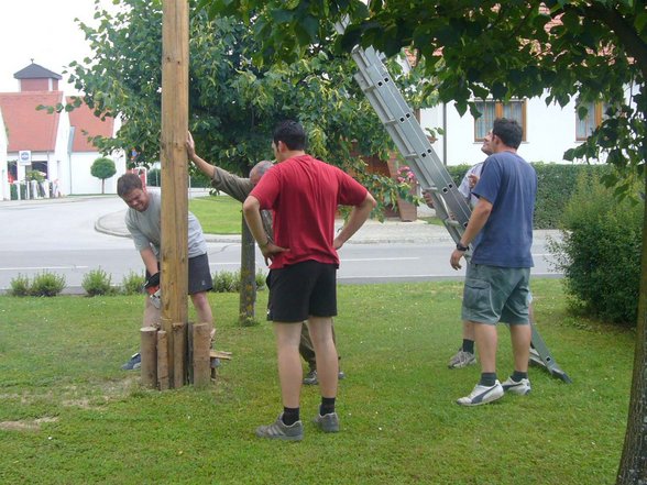 Maibaum umschneiden - 