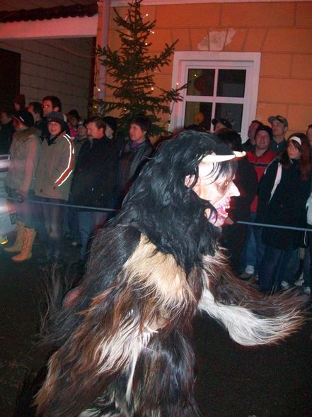 Pärchtenlauf Neustadtl - 