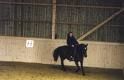 reiten - 