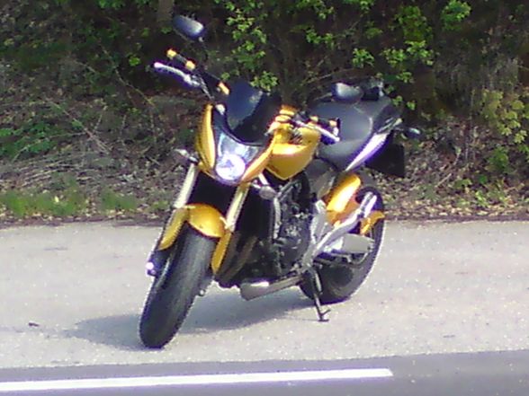 Honda hornet 600 :-))))) - 