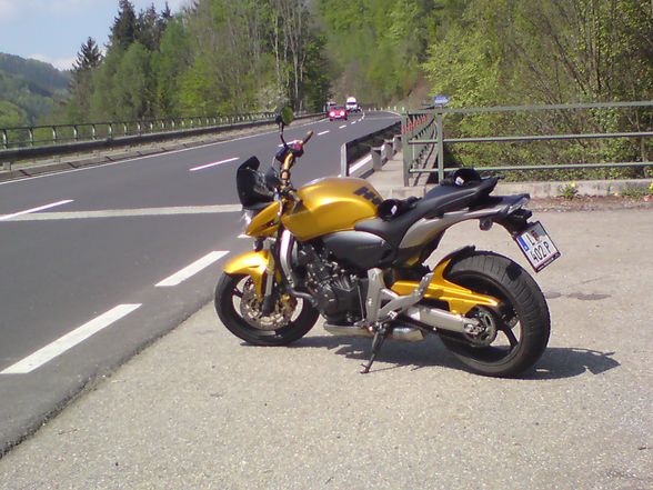 Honda hornet 600 :-))))) - 