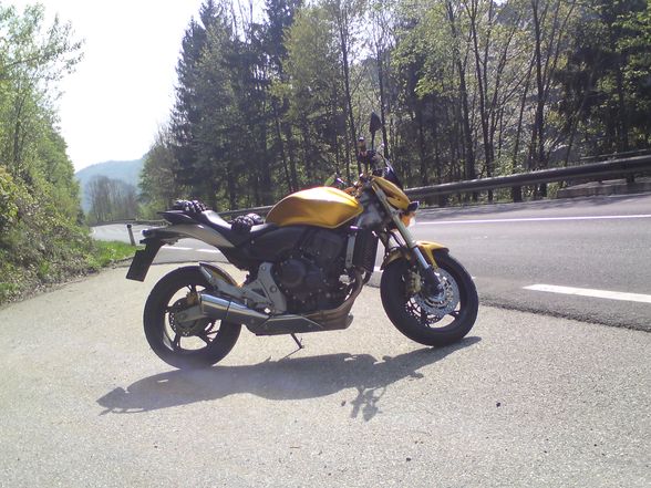 Honda hornet 600 :-))))) - 