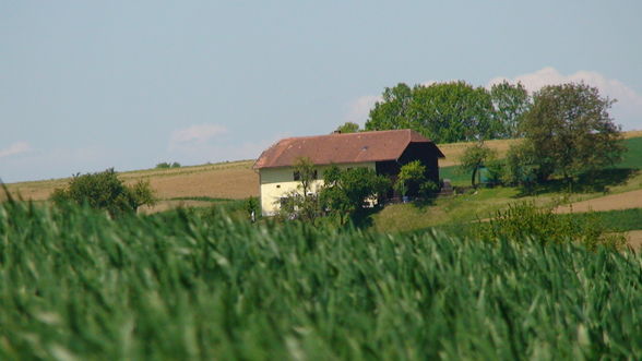 Mein Traum vom Haus - 