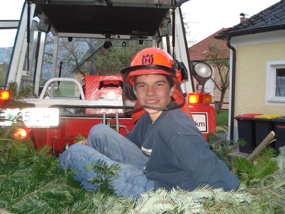 Maibaum aufstellen 2009 - 