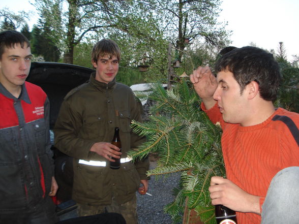 Maibaum aufstellen 2009 - 