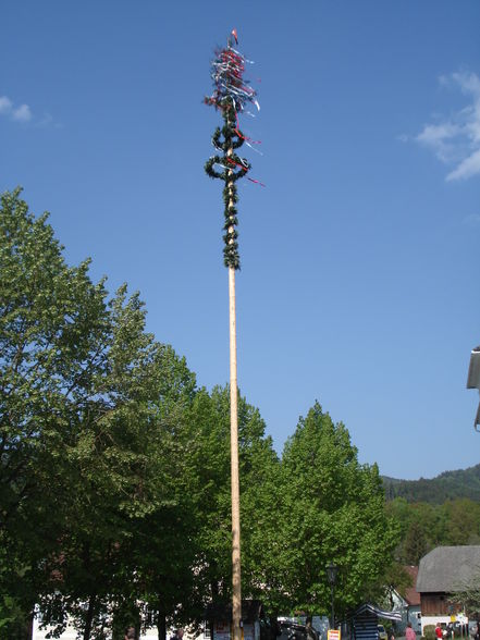 Maibaum aufstellen 2009 - 