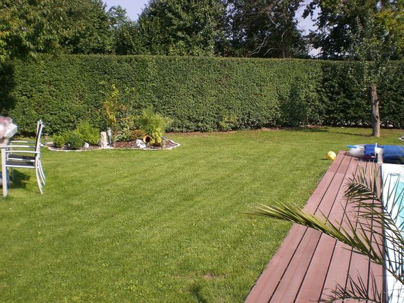 Garten aktuell 2010 - zu verkaufen - 