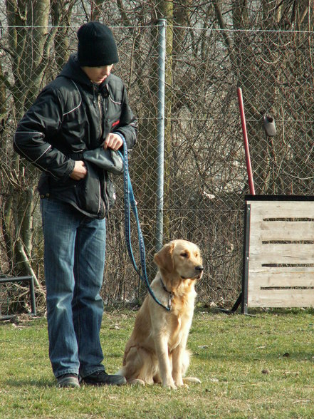 mein hund lena - 