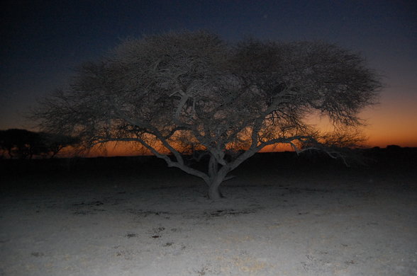 Reise durch das SÜDLICHE AFRIKA - 