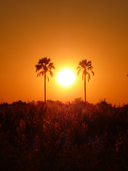 Reise durch das SÜDLICHE AFRIKA - 