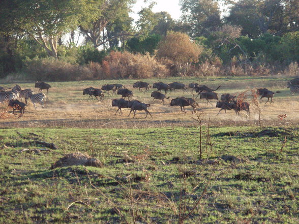 Reise durch das SÜDLICHE AFRIKA - 