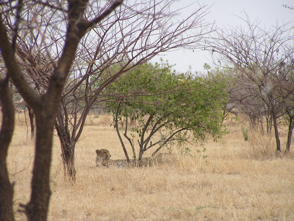 letzte Reise - Namibia - 