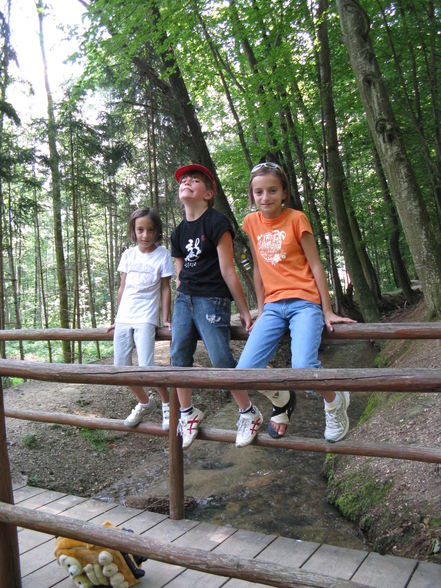 Urlaub 2008 Steiermark - 