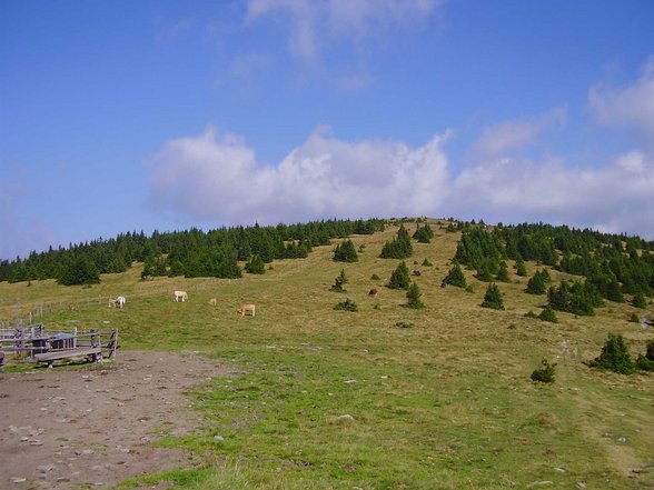 Kirchberg am Wechsel / NÖ / August - 