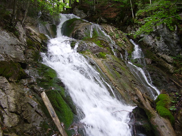 Dr. Vogelgesangklamm und Rohrauerhaus - 