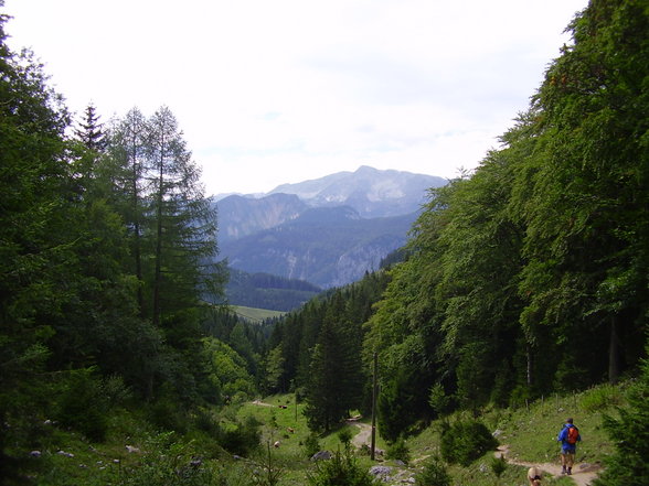 Dr. Vogelgesangklamm und Rohrauerhaus - 