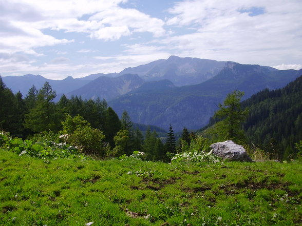 Dr. Vogelgesangklamm und Rohrauerhaus - 