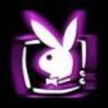 PlayBoy - 