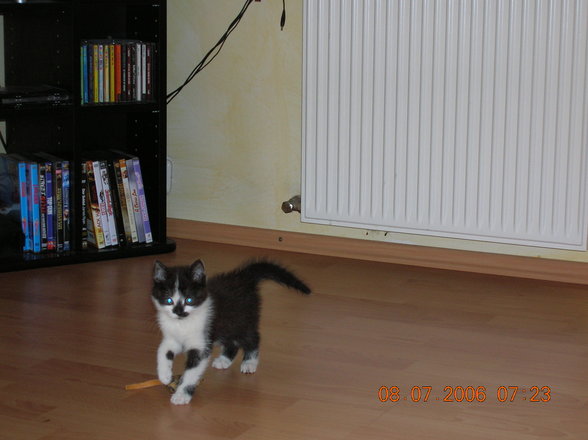 Unsere kleine Kira - 