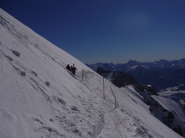 Freeriden am Dachstein - 