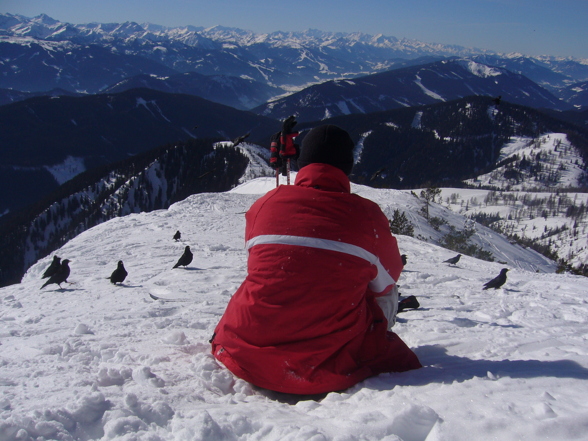 Freeriden am Dachstein - 