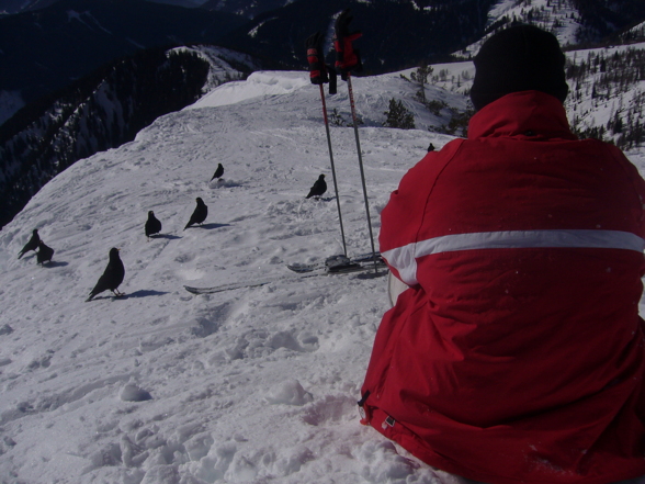 Freeriden am Dachstein - 