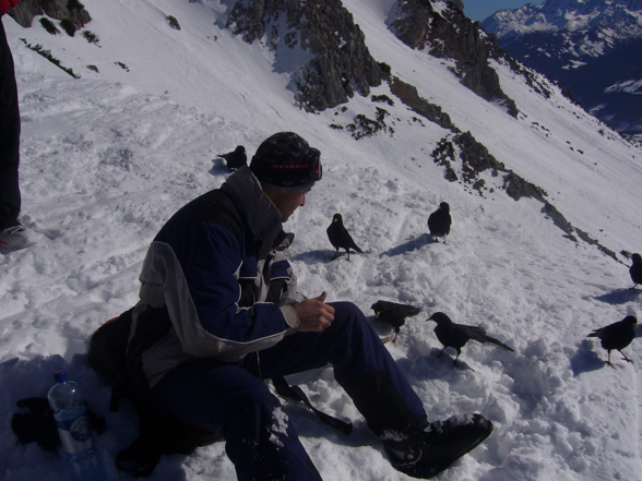 Freeriden am Dachstein - 