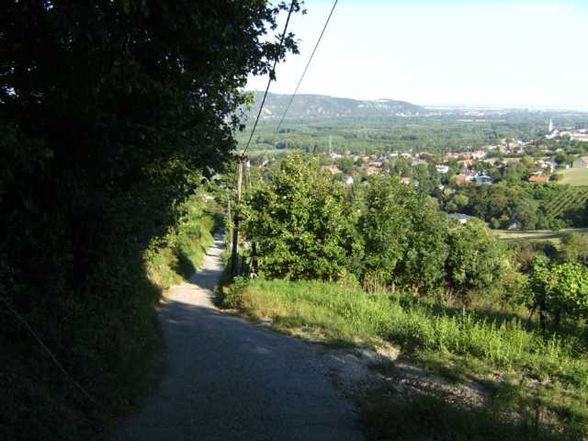 Praktikum am Weißen Hof - 