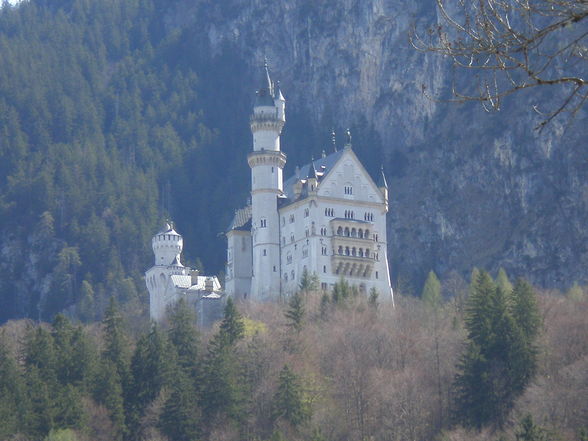 Schloss Neuschwanstein + Hohenschwangau - 