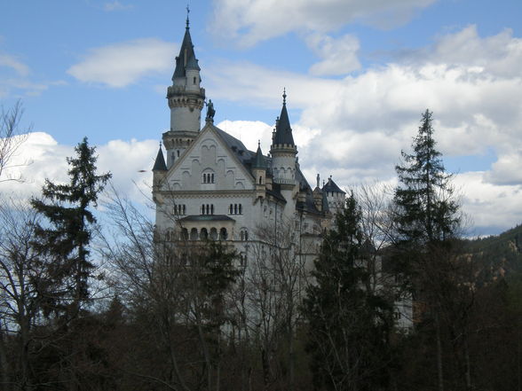 Schloss Neuschwanstein + Hohenschwangau - 