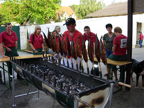 ^+°feuerwehr heurigen^+° - 