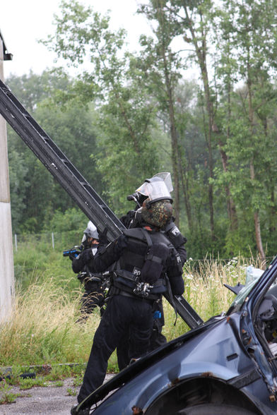 Feuerwehr u. Cobra - 