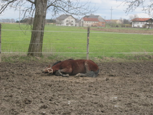 Meine Süsse, Josy Jumper - 