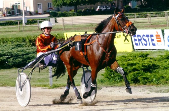 Eigene Renn- und Trainingsfotos - 